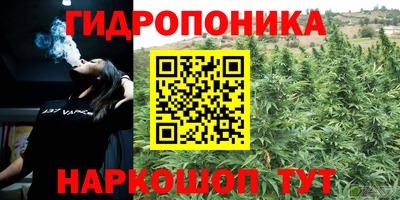 прущие грибы Абакан