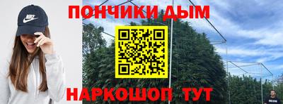 прущие грибы Абакан
