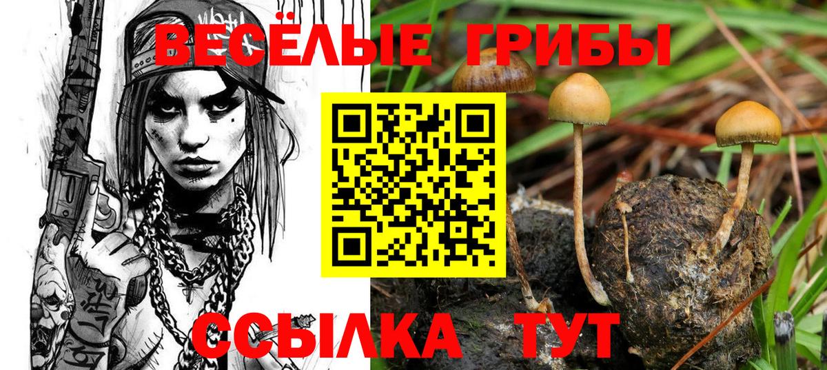 Галлюциногенные грибы ЛСД Апатиты