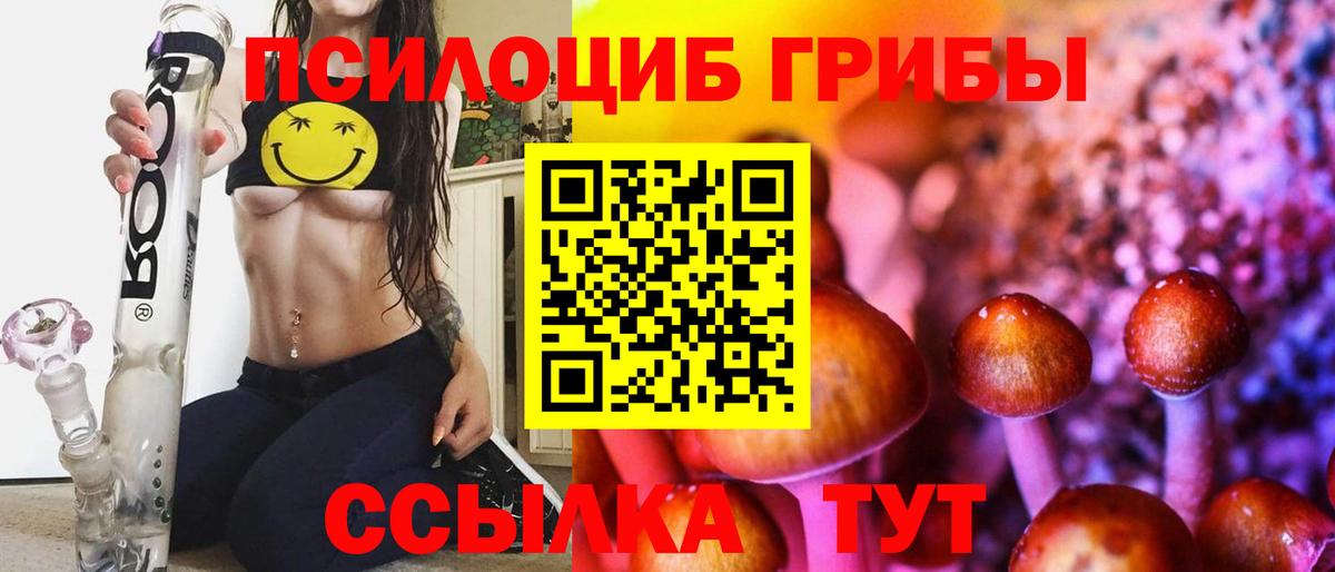 Галлюциногенные грибы Psilocybe  Вход с VPN  Апатиты 