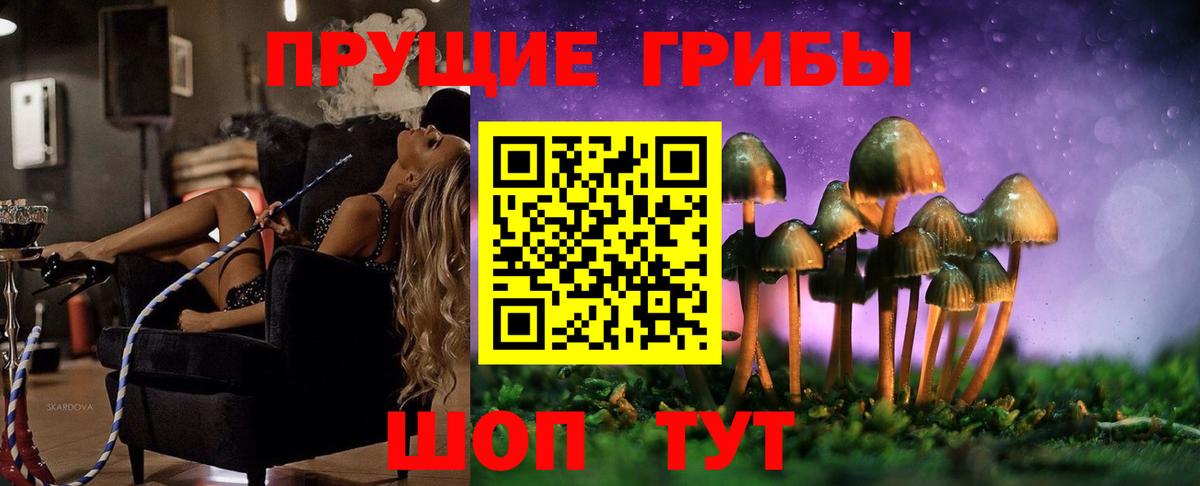 Конопля Апатиты